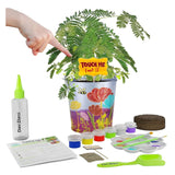 Paint and Plant Gardening Kit