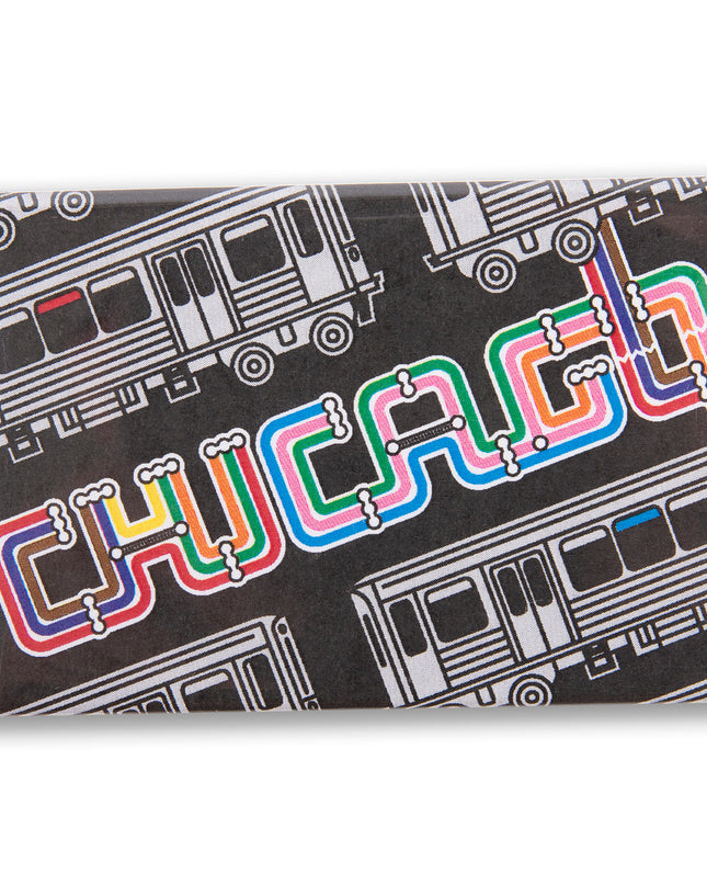 Transit Type Magnet