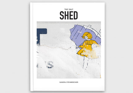 The Salt Shed Transformation of a Chicago Landmark