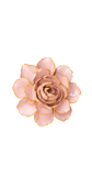 Rose Pink Camellia Ceramic Flower