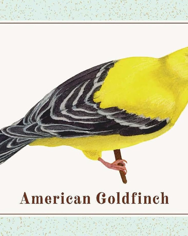 The Beginner Birder's Deck