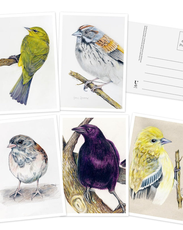 The Backyard Bird Chronicles: 50 Postcards