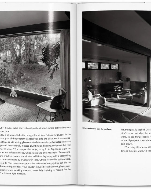 Neutra Taschen Basic Art