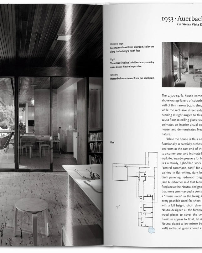 Neutra Taschen Basic Art