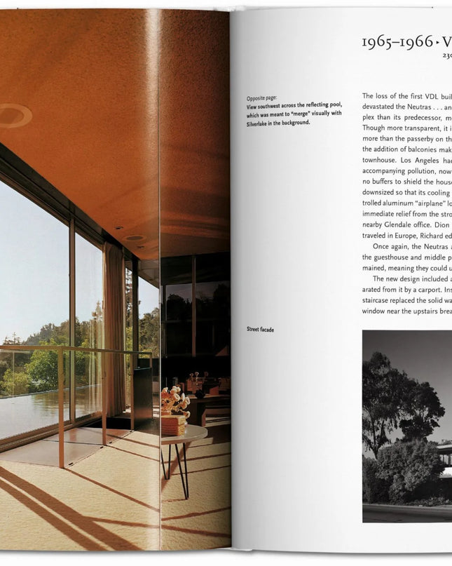 Neutra Taschen Basic Art