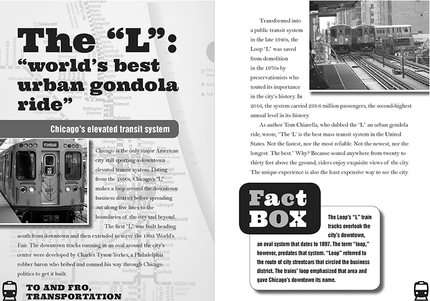 What's With Chicago - Paperback Book